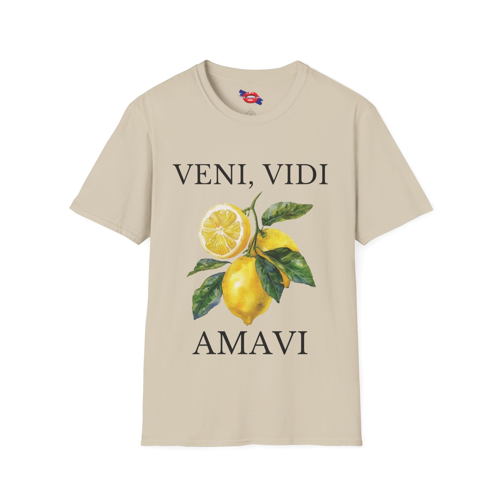 "Veni, Vidi, Amavi" Unisex T-Shirt