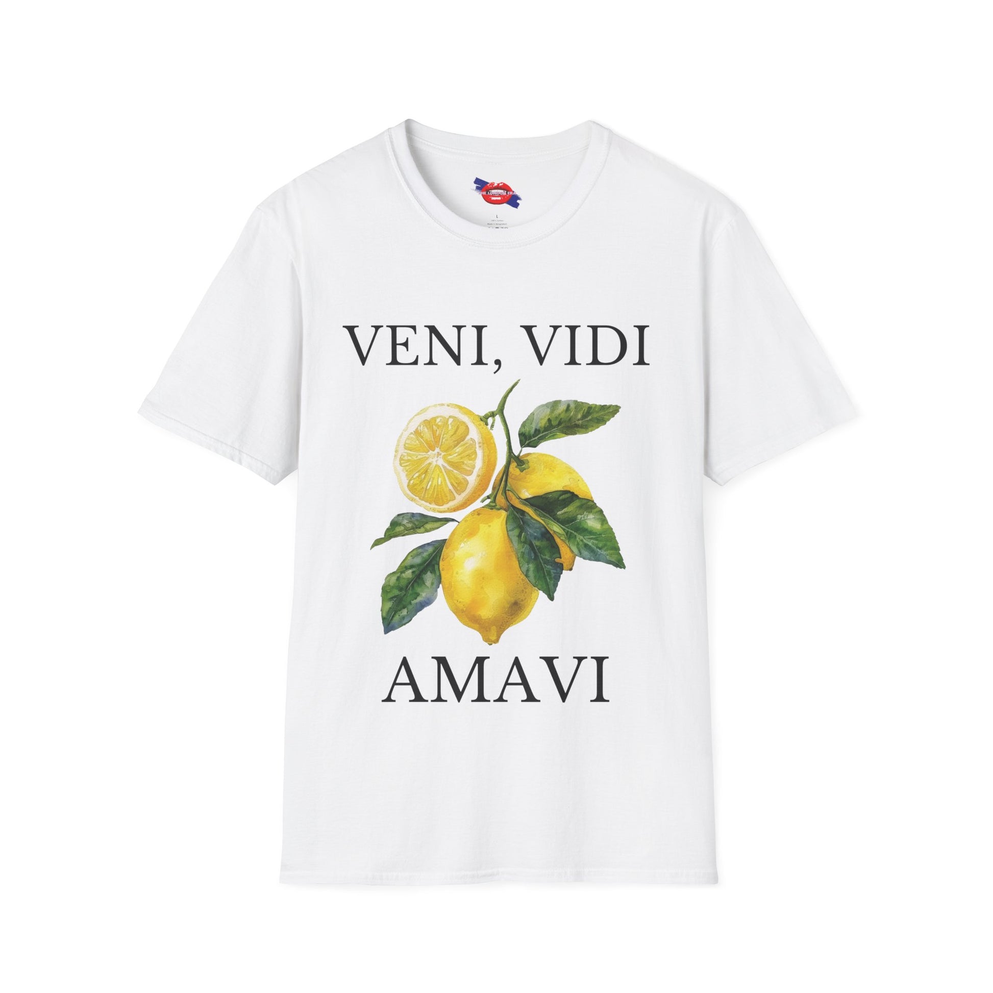 "Veni, Vidi, Amavi" Unisex T-Shirt